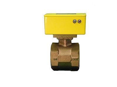 Interruptor de flujo (Flow switch)